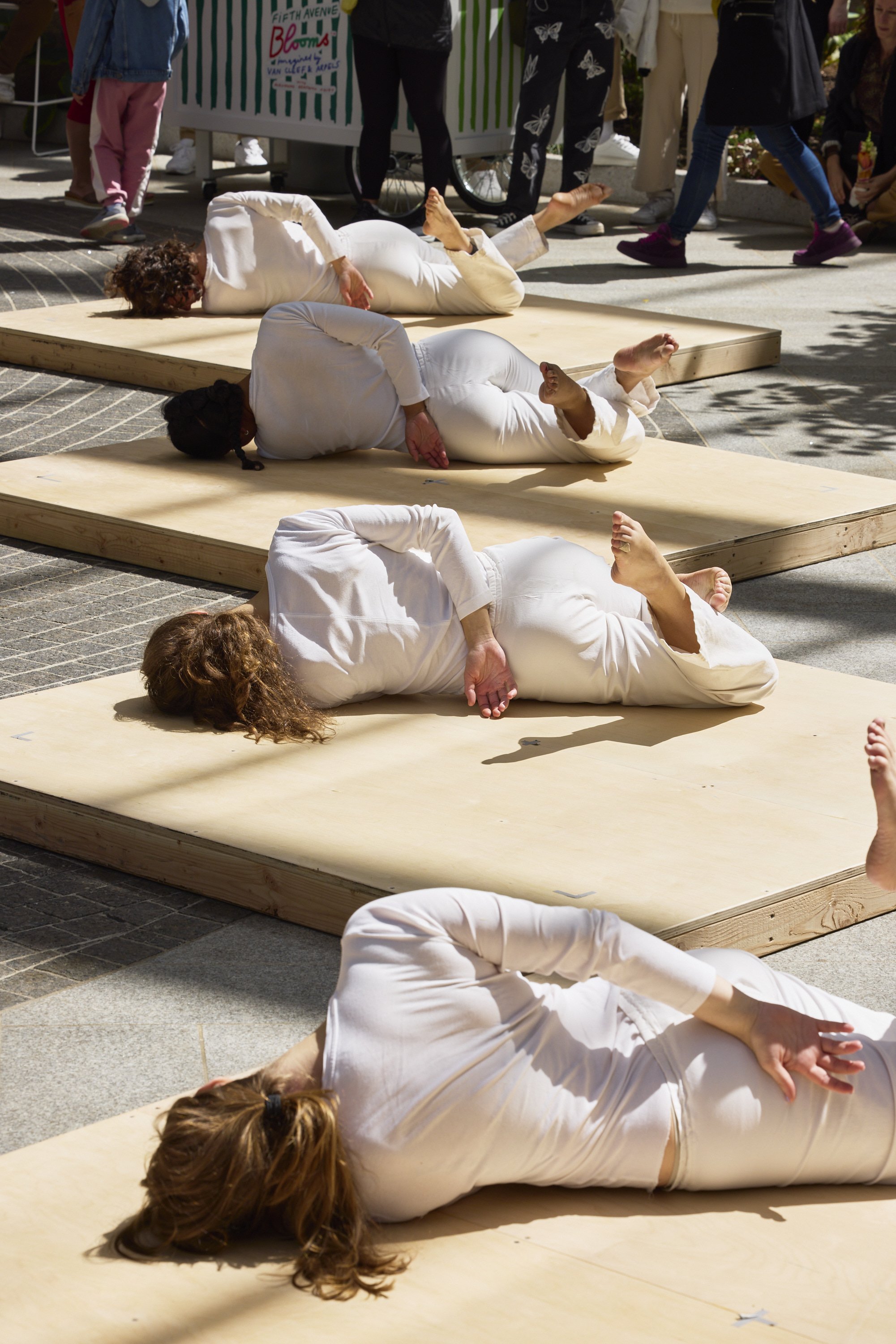 In Plain Site - Trisha Brown 