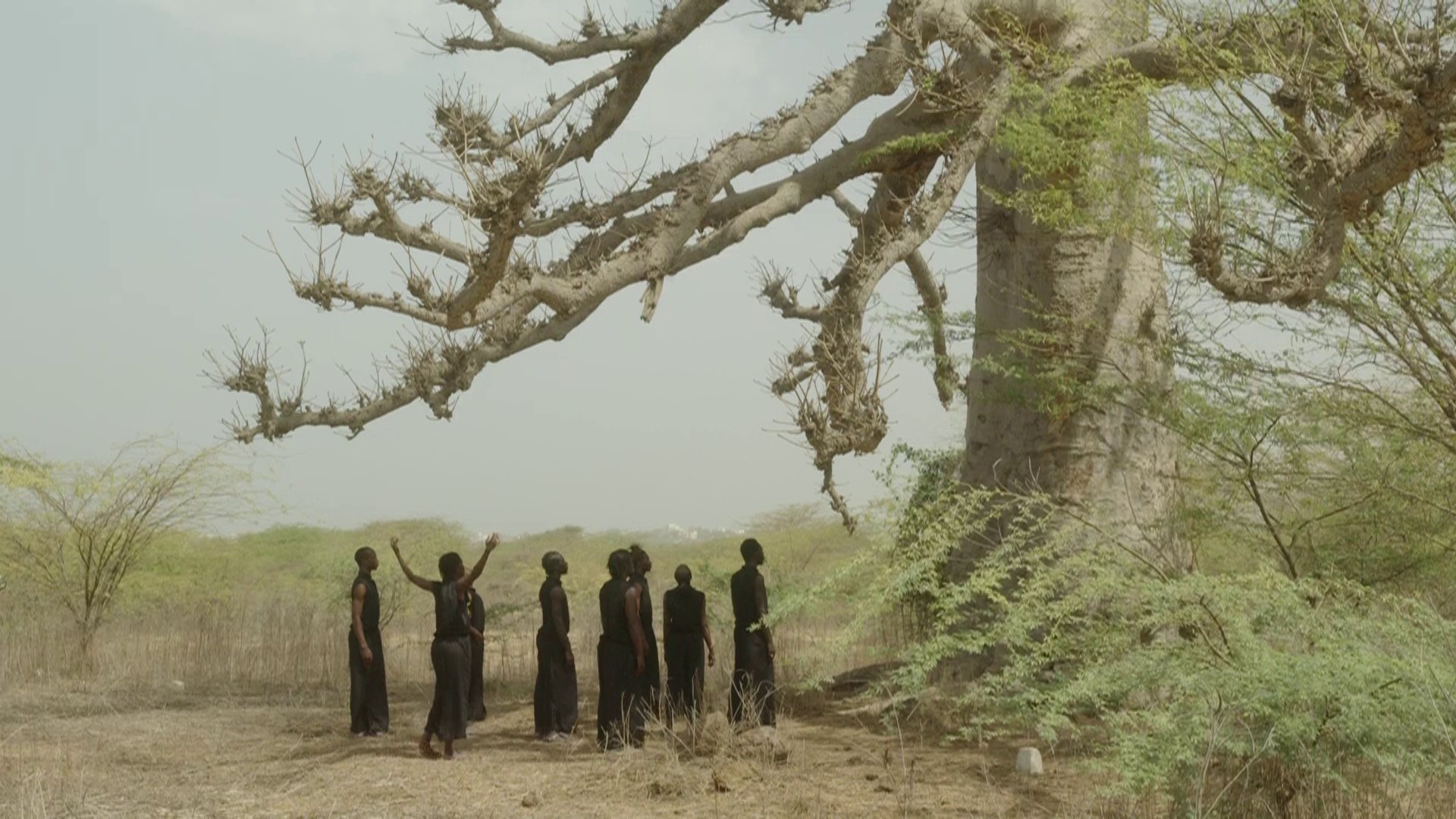 groupe de personnes vêtues de vêtements sombres se tient sous un grand arbre d'apparence ancienne aux branches épaisses dans un paysage aride, avec une personne au centre levant les bras