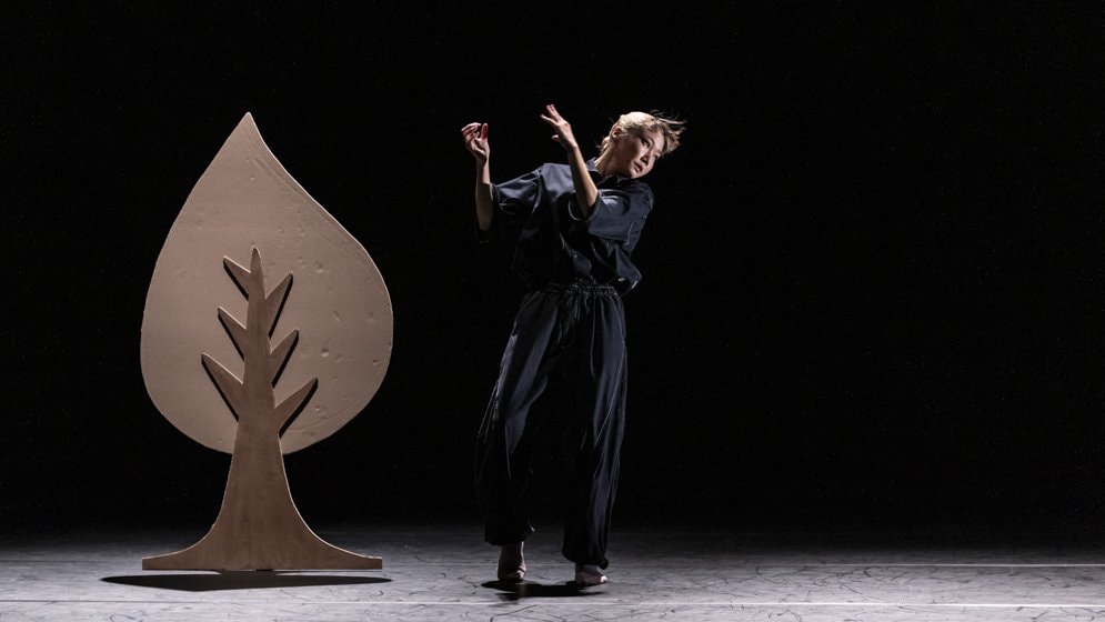 danseuse à coté d'un arbre en décors sur fond noir